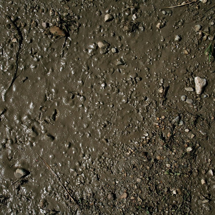 AK Interactive AK8016 Terrains Wet Ground – Acrylic Diorama Texture, 250ml