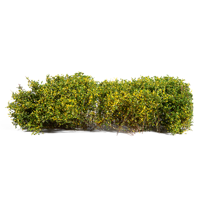 1/35 AK Interactive Blomming Yellow Shrubberies 1/35